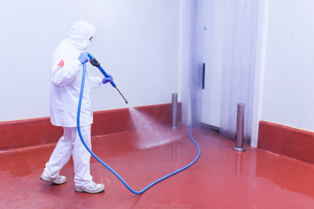 Trusted Robins Af, GA Pressure Washing Services Experts