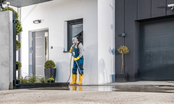 Best Roof Cleaning and Mildew Removal in Robins Af, GA